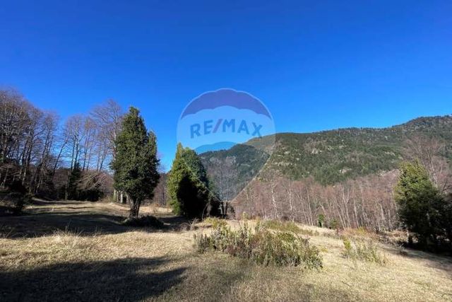 Parcelas en curarrehue, huincapailhue