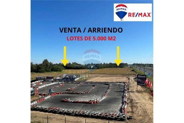 Arriendo lotes de 5.000  cruce unihue.
