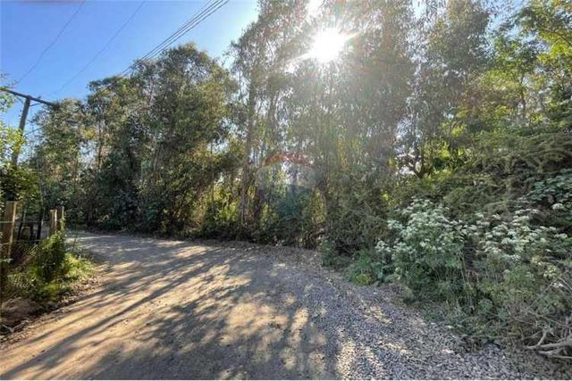 Se vende terreno 5.000 m2, en sector ranquimili.