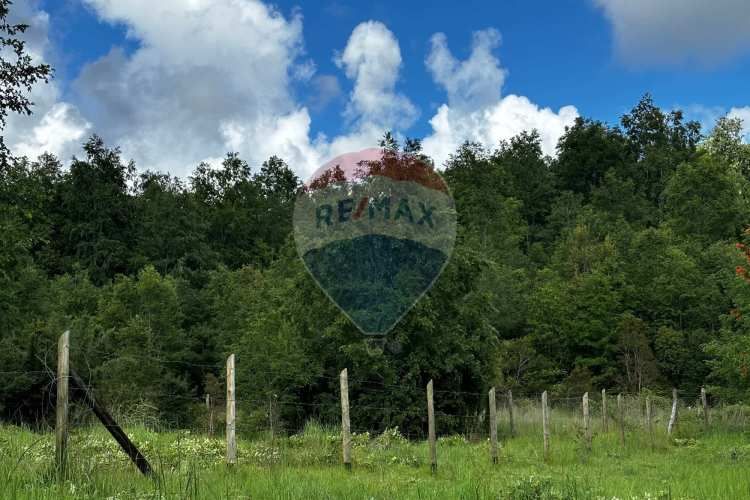 &quot;serene 5000m² plot in picturesque pucon&quot;