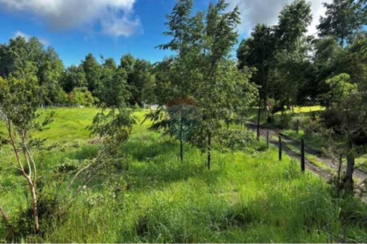 &quot;serene 5000m² plot in picturesque pucon&quot;