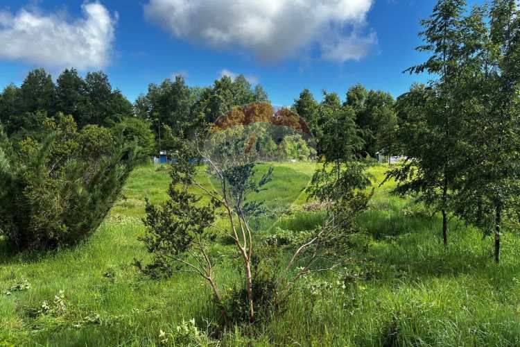 &quot;serene 5000m² plot in picturesque pucon&quot;