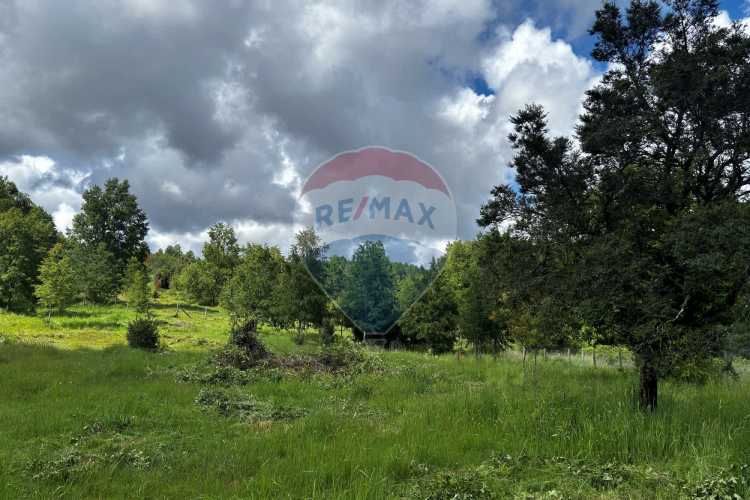 &quot;serene 5000m² plot in picturesque pucon&quot;