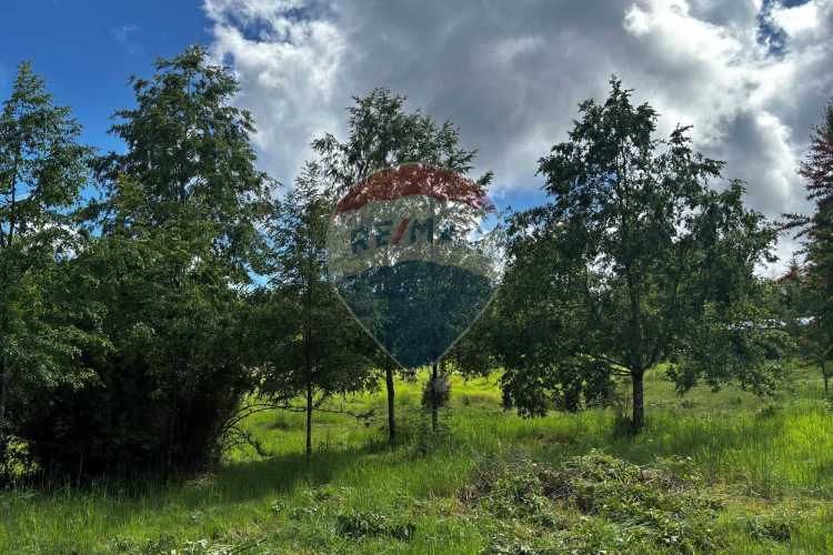 &quot;serene 5000m² plot in picturesque pucon&quot;