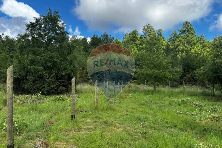 &quot;serene 5000m² plot in picturesque pucon&quot;