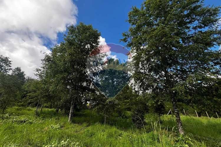 &quot;serene 5000m² plot in picturesque pucon&quot;