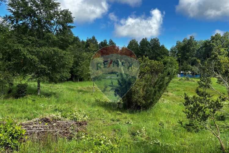 &quot;serene 5000m² plot in picturesque pucon&quot;