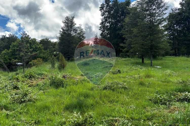 &quot;serene 5000m² plot in picturesque pucon&quot;