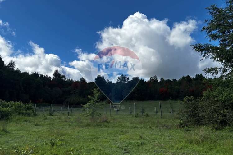 &quot;serene 5000m² plot in picturesque pucon&quot;