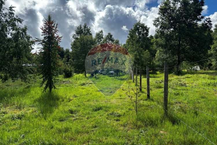 &quot;serene 5000m² plot in picturesque pucon&quot;