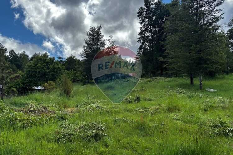 &quot;serene 5000m² plot in picturesque pucon&quot;