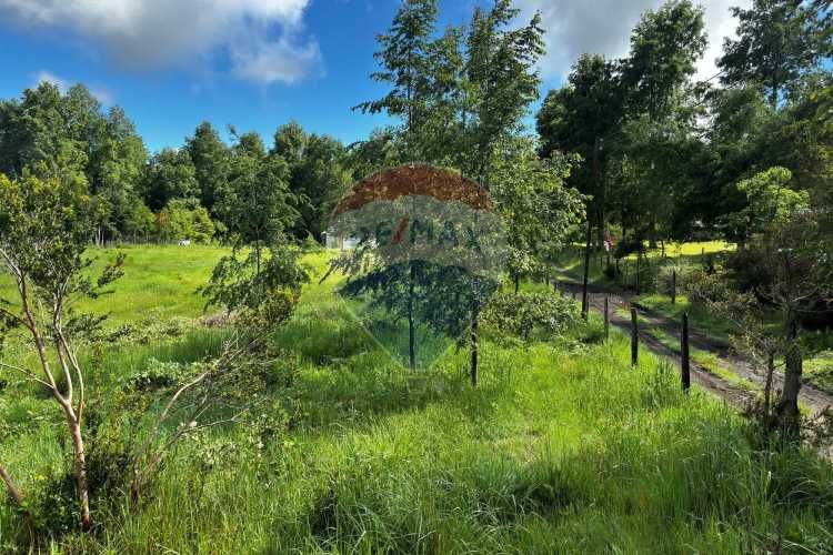 &quot;serene 5000m² plot in picturesque pucon&quot;