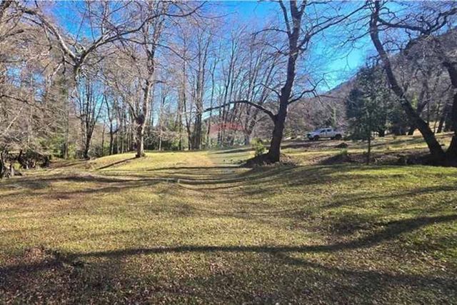 Parcela de ensueño en curarrehue