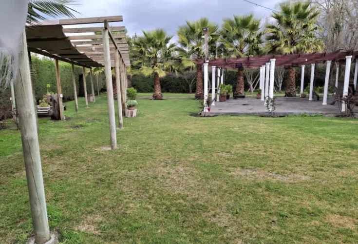 AMPLIO LOCAL CON HERMOSO PATIO