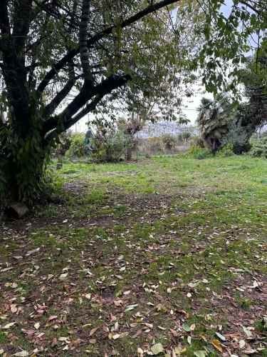 SITIO Orilla Caletera ,Metrenco Km 684,20