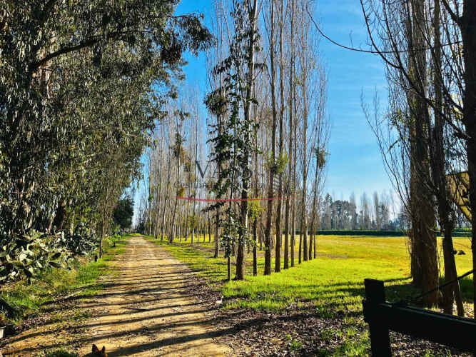 VASS vende campo de 10 Ha con 3 casas en Melipilla