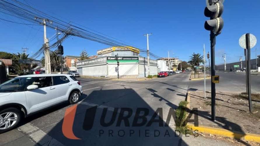 Local ESTRATEGICO LOCAL AV EL SANTO CON JUAN SOLDADO