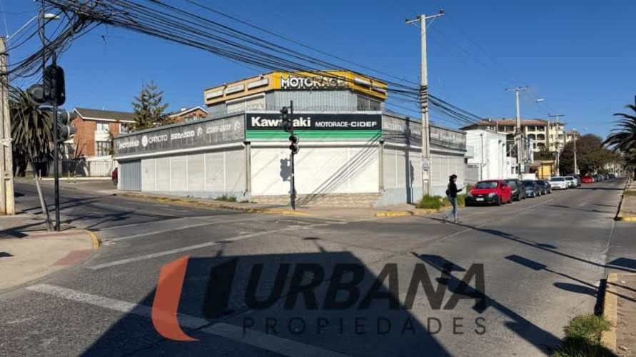 Local ESTRATEGICO LOCAL AV EL SANTO CON JUAN SOLDADO