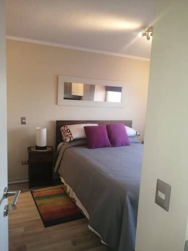 VENDO DEPARTAMENTO AMOBLADO TEMUCO