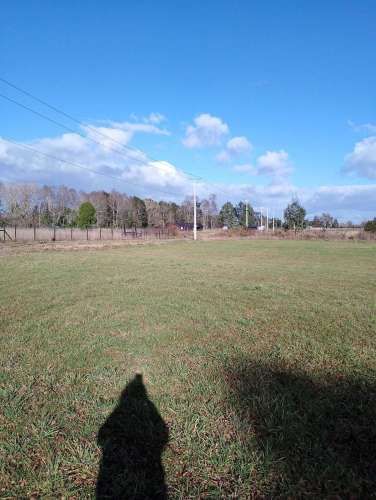 AGRADABLE CLIMA Y ACCECIBILIDAD (113956)