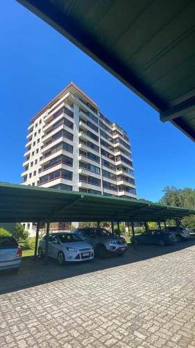 Vendo ,Arriendo excelente departamento Isla T (114042)