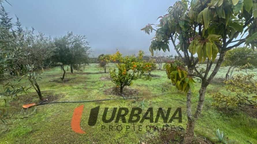 Parcela PARCELA CON CASA QUEBRADA MARTÍNEZ - EL PEÑÓN