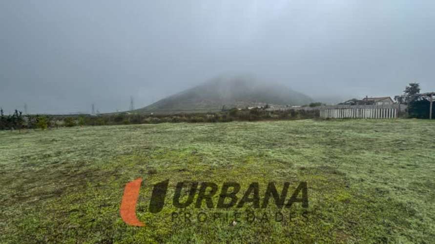 Parcela PARCELA CON CASA QUEBRADA MARTÍNEZ - EL PEÑÓN
