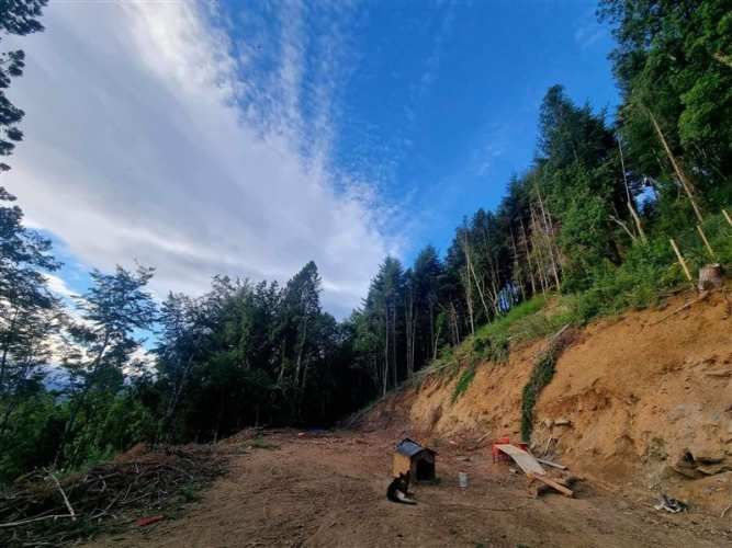 PARCELA quita calzon