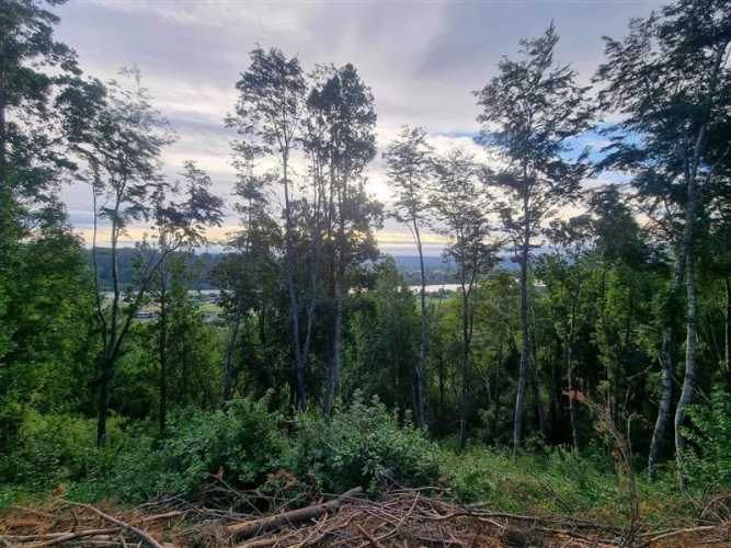 PARCELA quita calzon