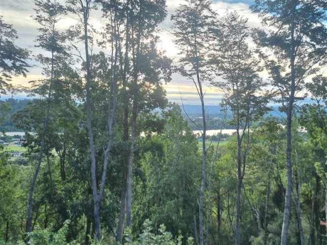 PARCELA quita calzon