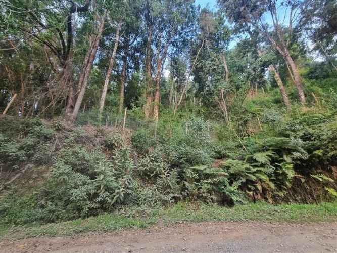 PARCELA quita calzon