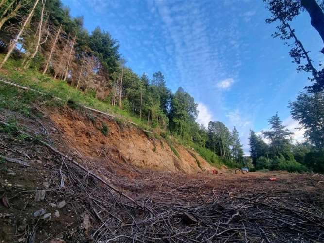 PARCELA quita calzon