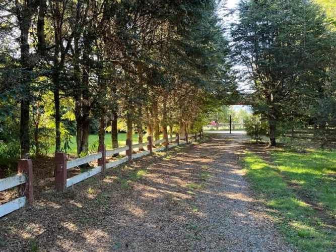 PARCELA las gaviotas