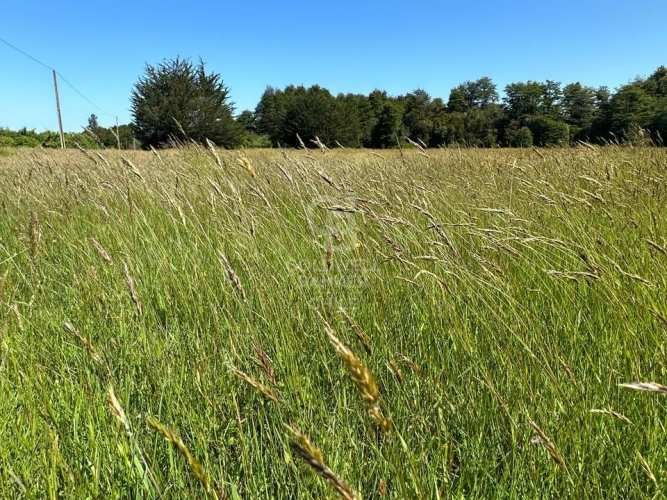 Parcelas Agrícolas.