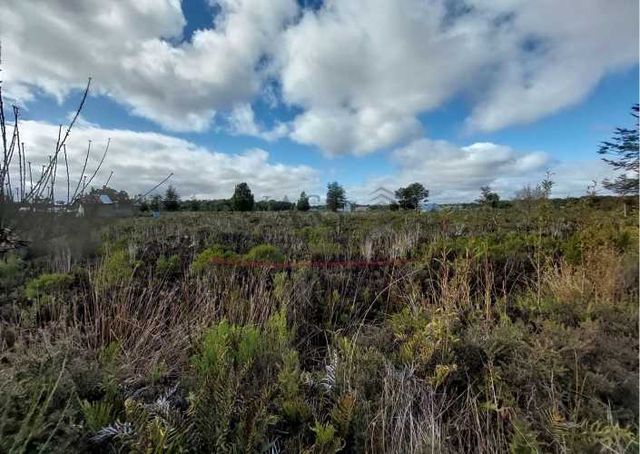 VASS vende parcelas en Ancud