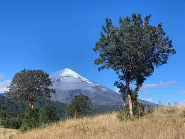 PARCELA PARCELA DISPONIBLE Condominio GRAN ROBLE. (60 parcelas por Condominio)