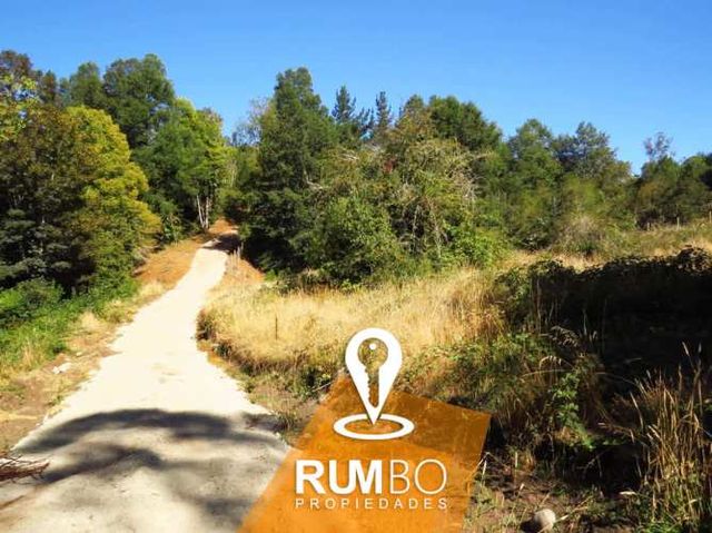 Parcela en Villarrica – Cruz Blanca