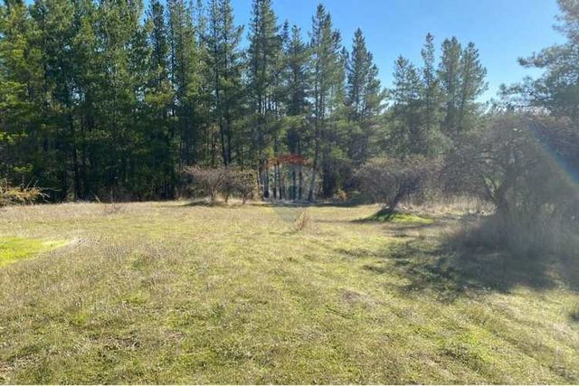 Parcela en venta yumbel media hectárea