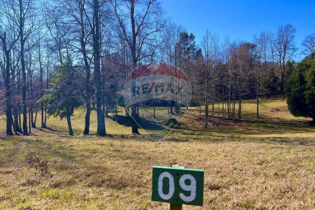 Pucon  parcelas de lujo en candelaria