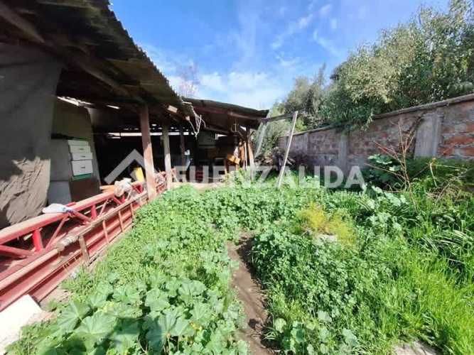 LOCAL COMERCIAL Samuel Izquierdo Nueva Extremadura