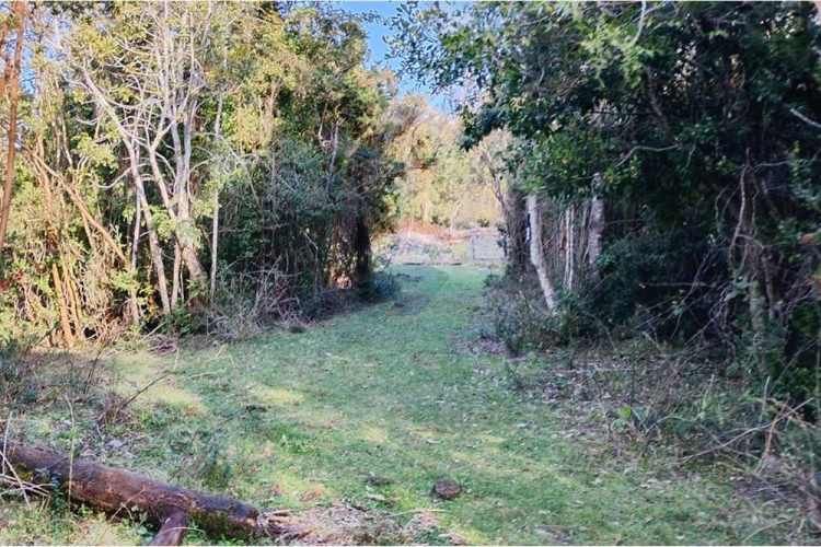 Venta parcelas vista al mar y río mehuin valdivia