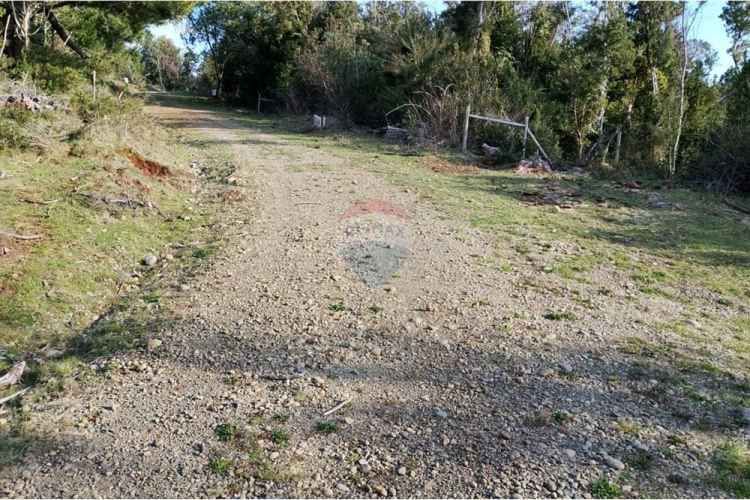 Venta parcelas vista al mar y río mehuin valdivia