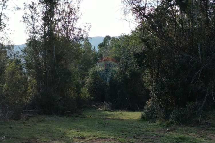 Venta parcelas vista al mar y río mehuin valdivia