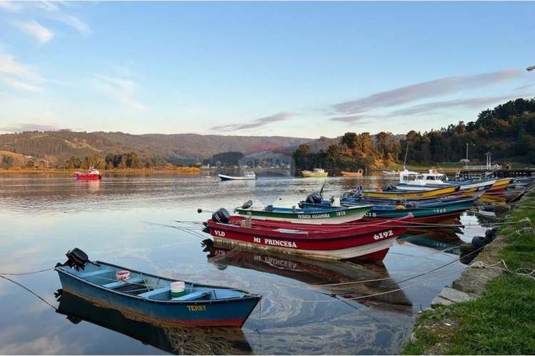 Venta parcelas vista al mar y río mehuin valdivia