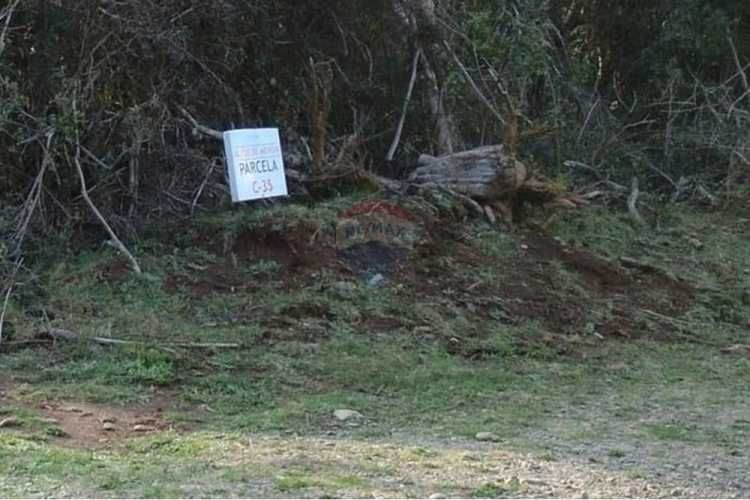 Venta parcelas vista al mar y río mehuin valdivia