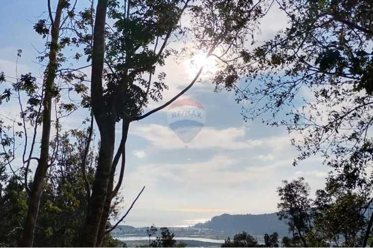 Venta parcelas vista al mar y río mehuin valdivia