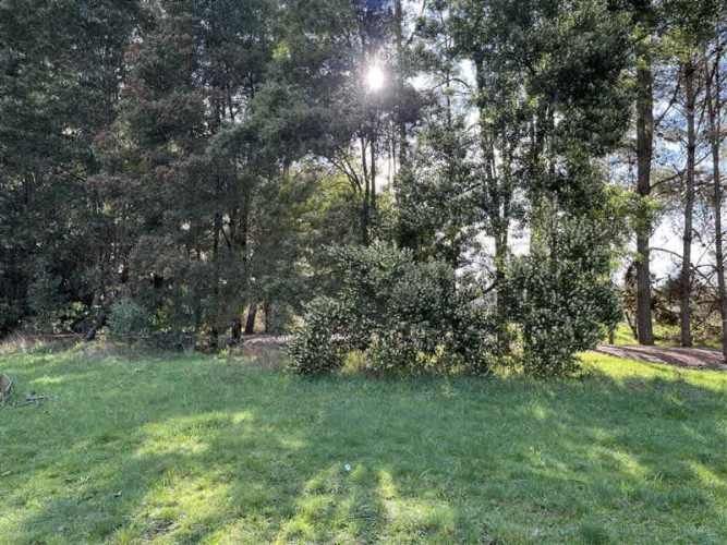 PARCELA san jose de la mariquina