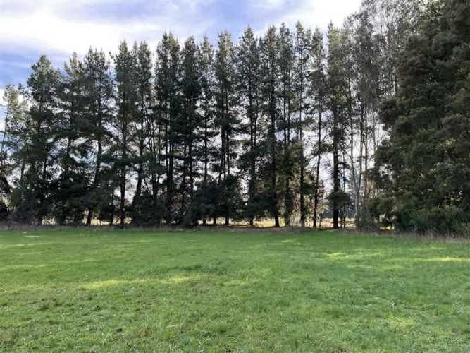 PARCELA san jose de la mariquina