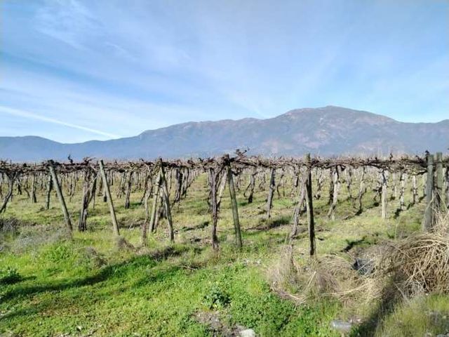 CAMPO 12 HA PLANO BUEN ACCESO AGUA SAN VICENTE TAGUA TAGUA