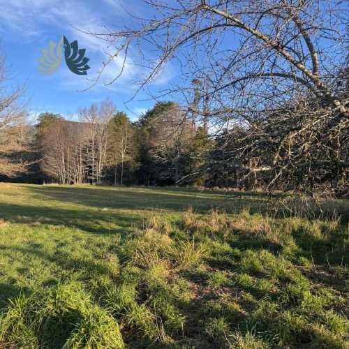 5.000 m² con acceso al Río Cruces (114707)